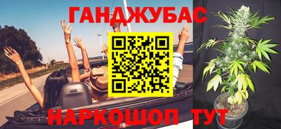 сатива Кунгур