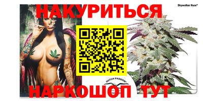сатива Кунгур